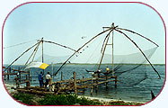 Cochin Fishing Net